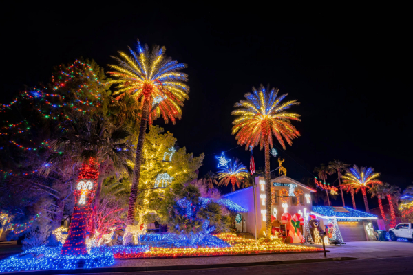 house decorated with christmas lights and palm trees